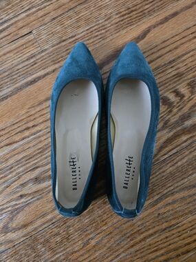 Balerette Velvet Pointed-Toe Flats